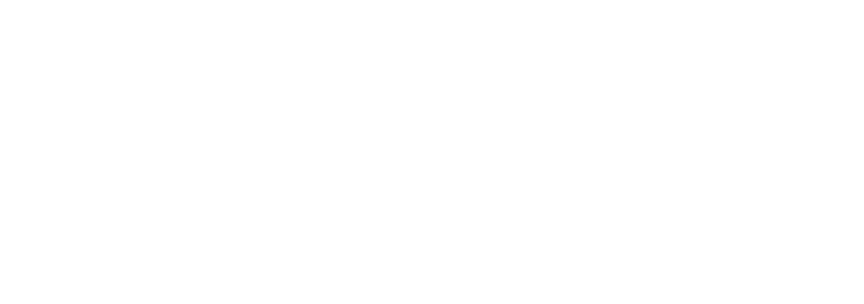 PayFast By Network - White