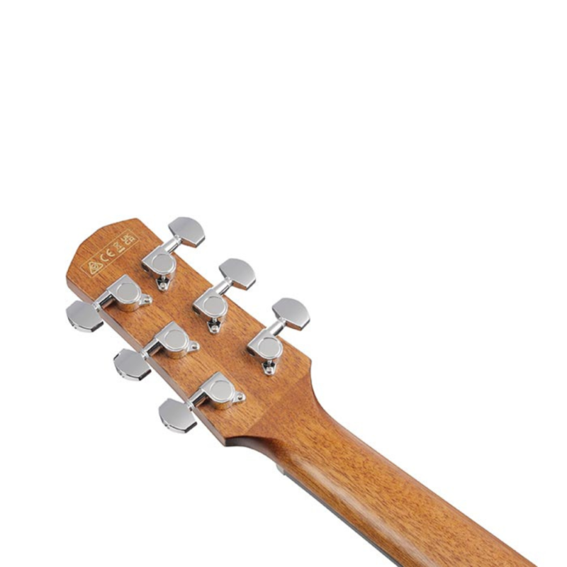 Ibanez AAM54CE - Image 4